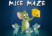 mice-maze