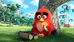 Angry Birds SB01