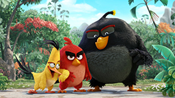 Angry Birds SB04